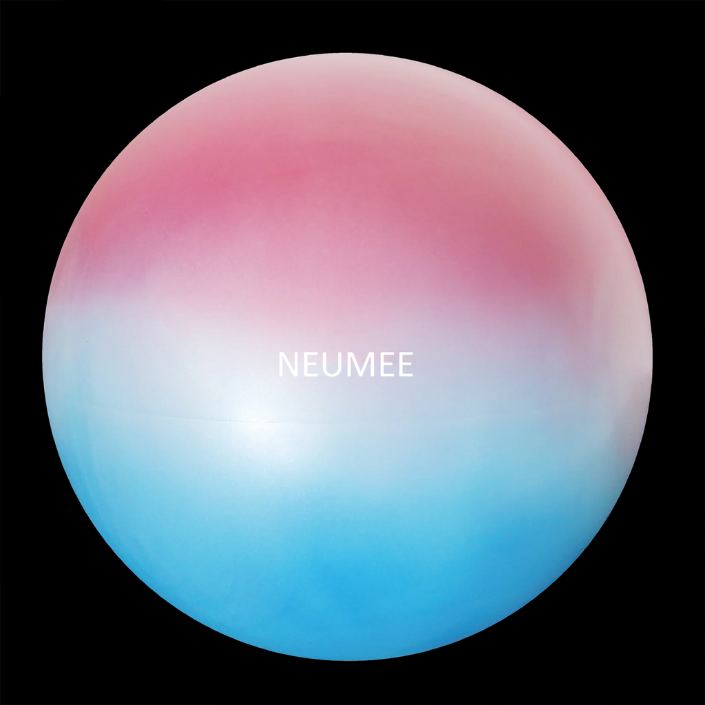 NEUMEE Exercise Ball Chair, Workout Ball for Fitness, Large Size 65 cm